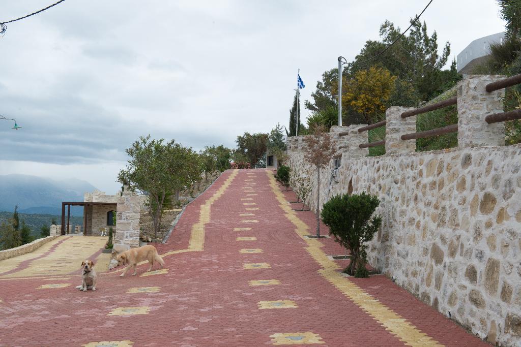 Villas Alexandros Petrino Kalamaki  Cameră foto